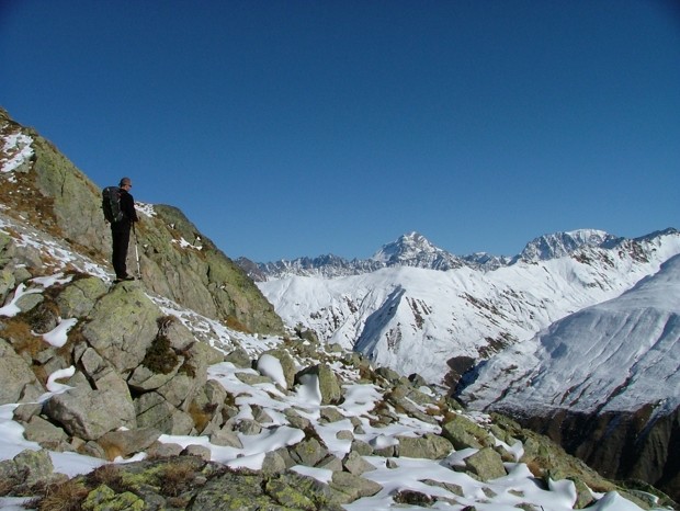 Sylvain observe une harde de chamois, sur fond de frontière italo-suisse (Grand col Ferret, arête des Econduits), Grand Combin et Mont Vélan