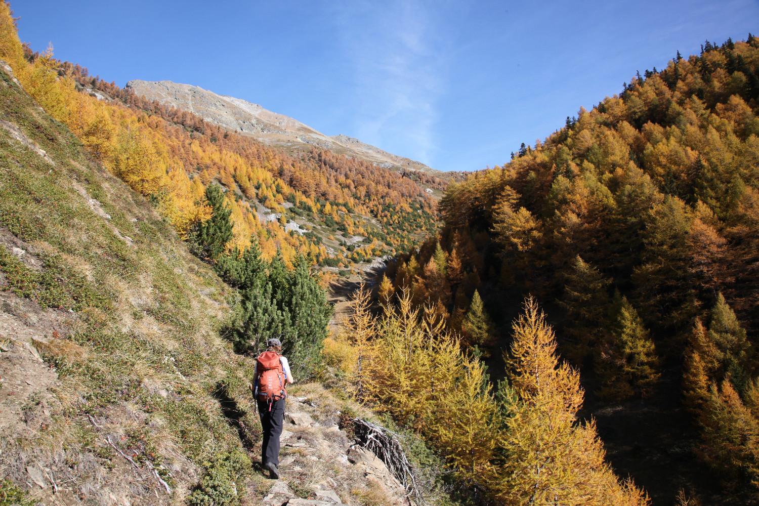 Montée vers la Wiwannihütte