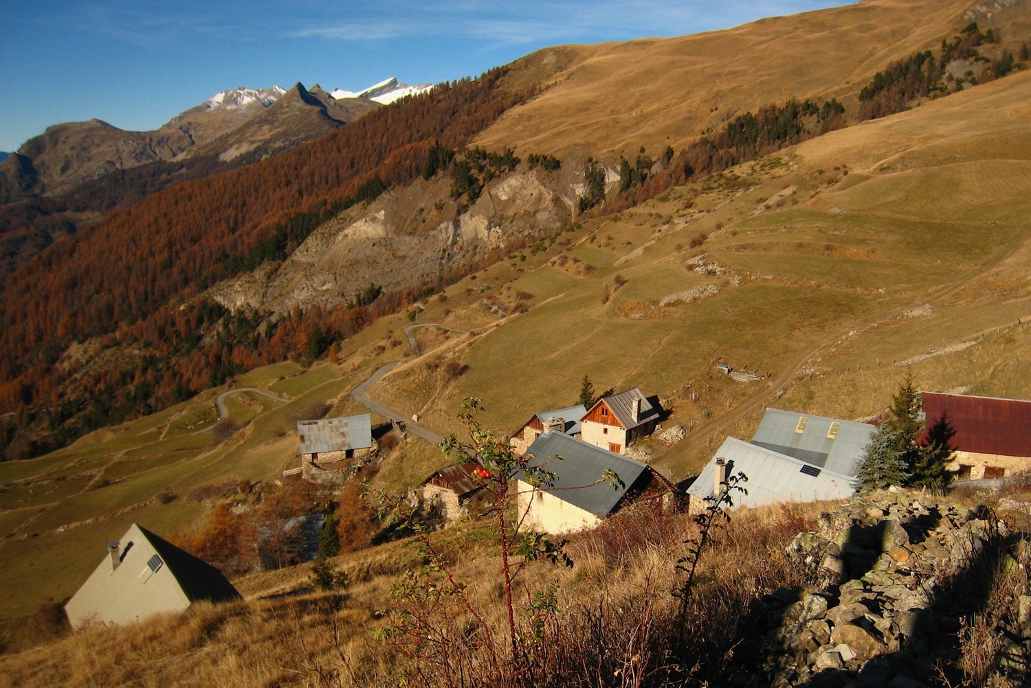 Le Forest des Marches