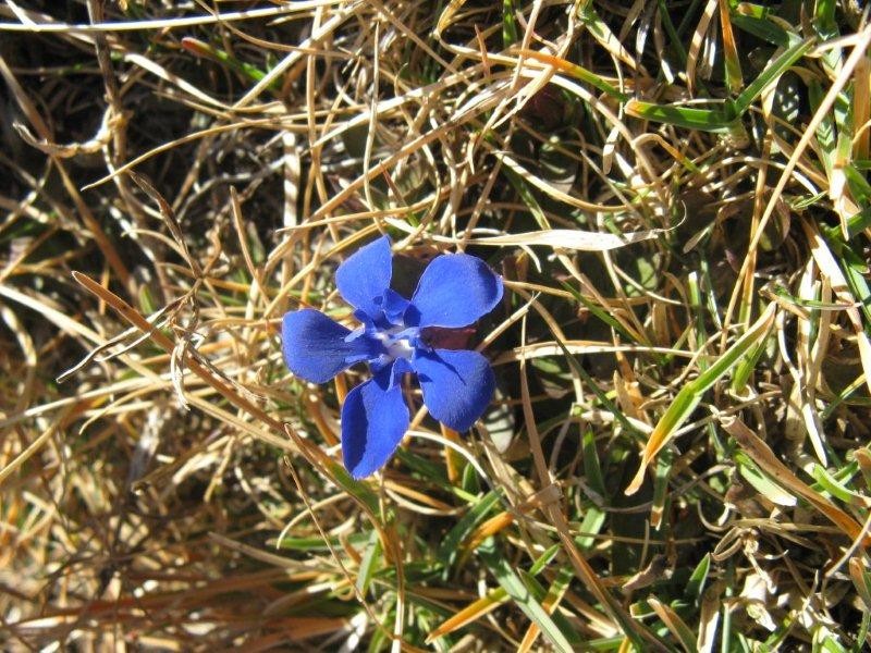 une rescapée?