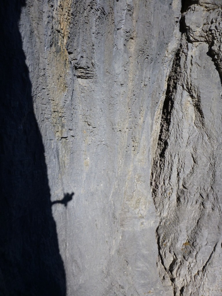 A shadow dancing on the wall
