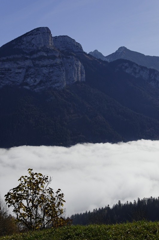 Mer du nuages au petit matin