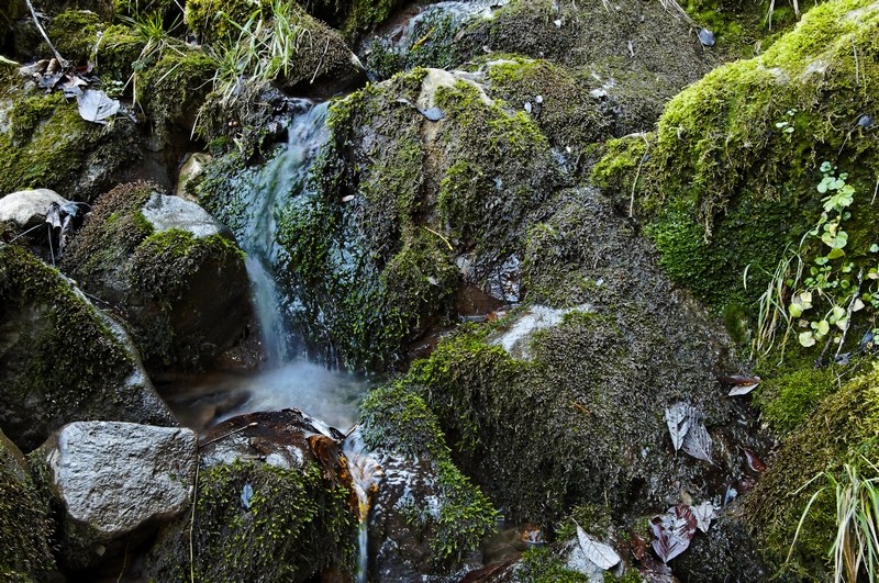 Essai de pose longue en ruisseau