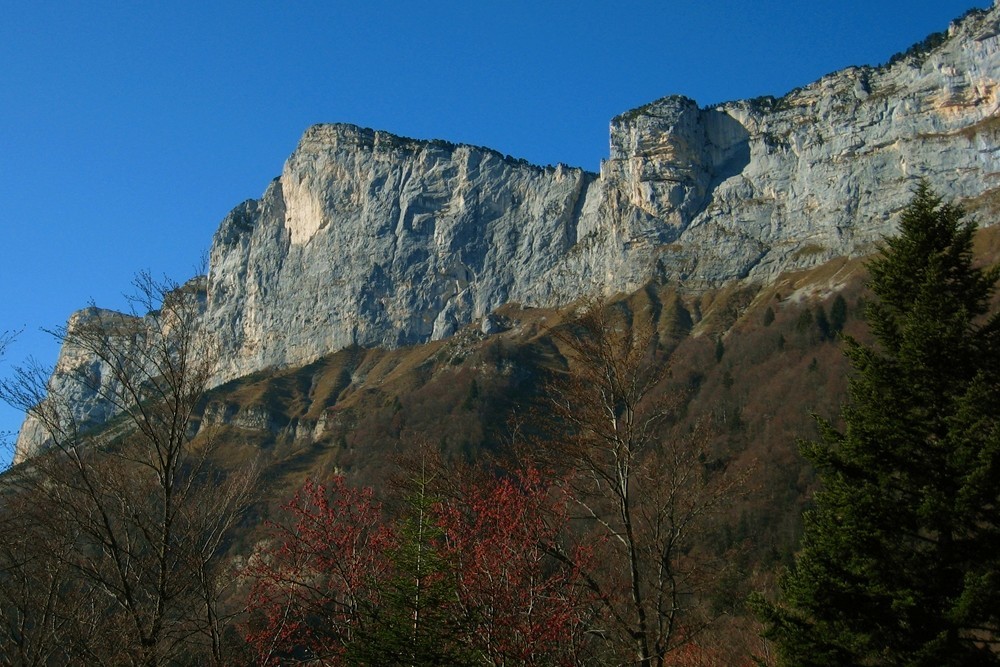 Chartreuse