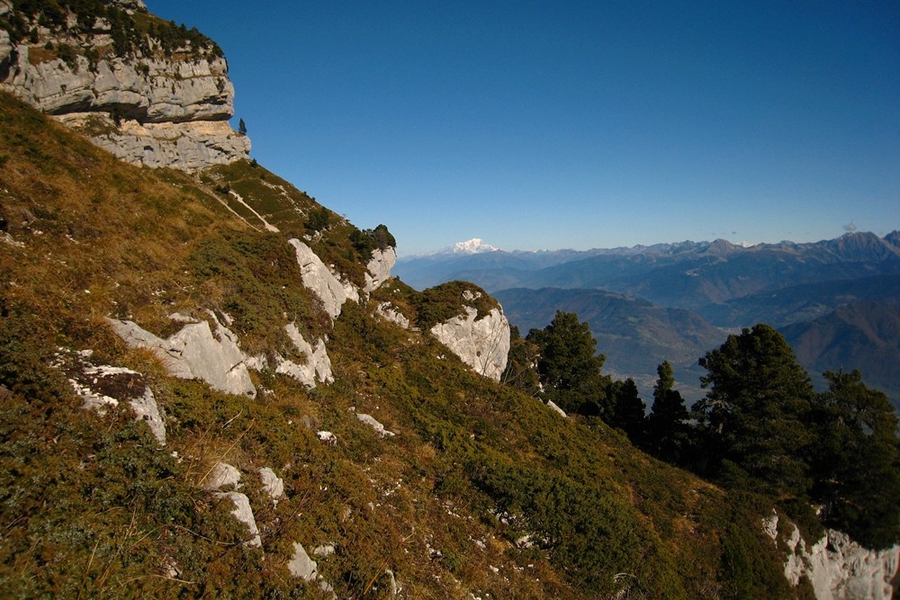 Mont Blanc depuis le Pas de Montbrun