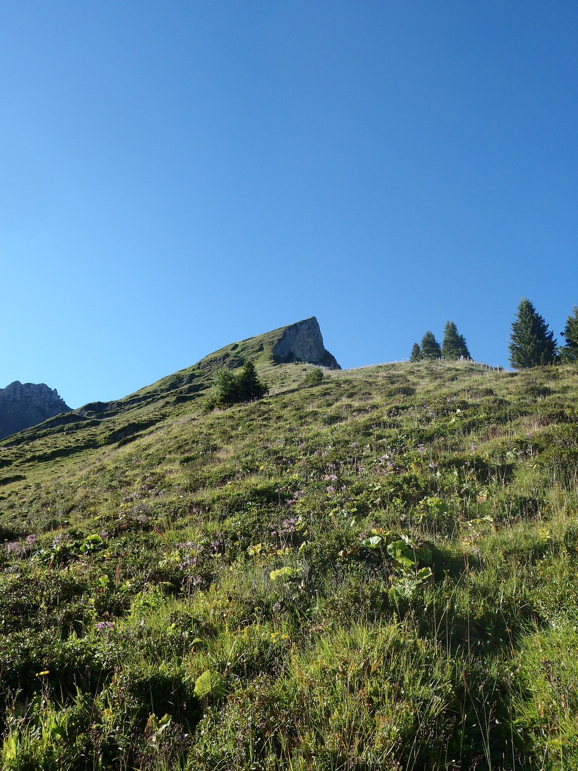 depart de l'arete nord