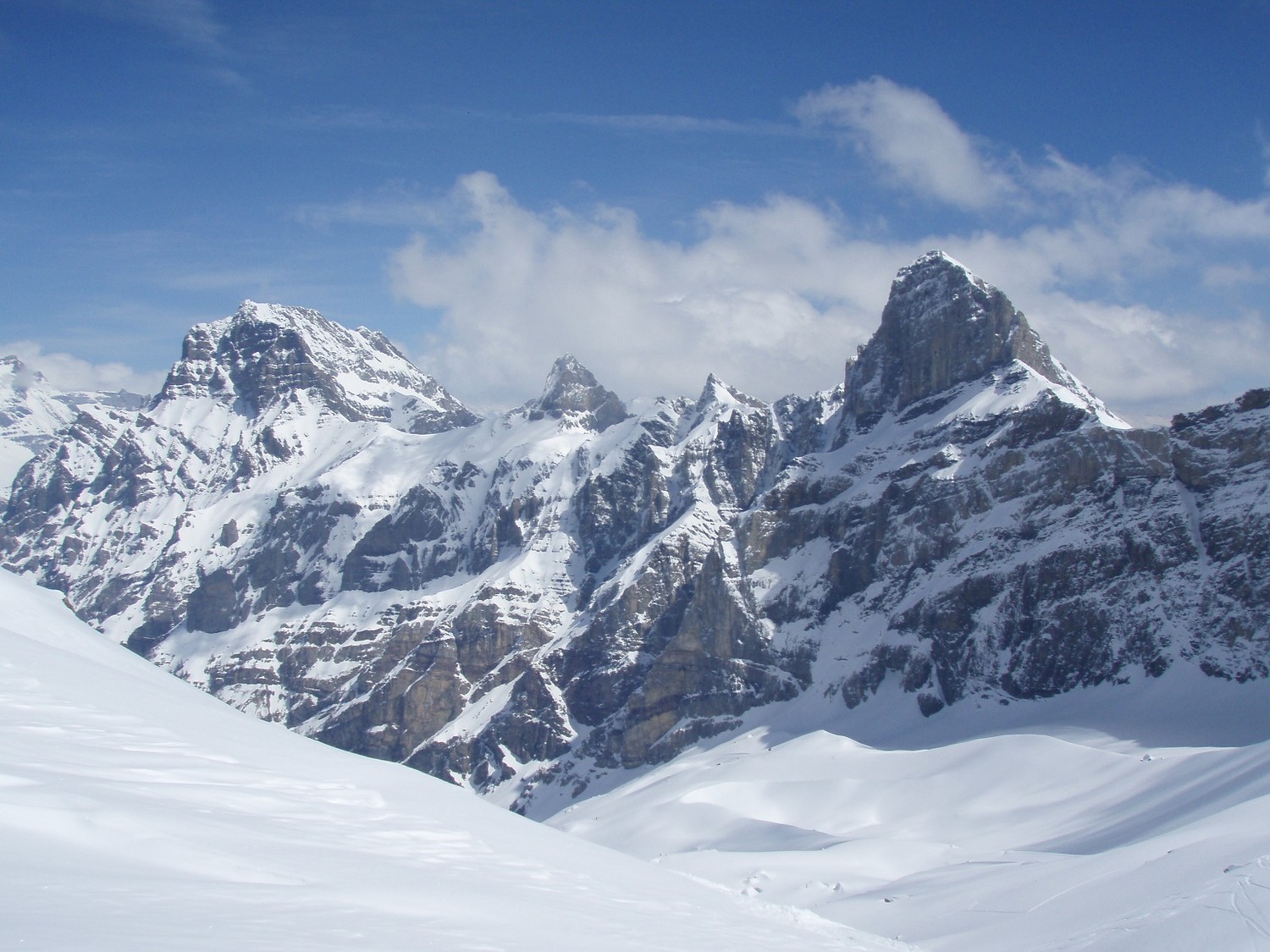 grand, petit muveran et dent favre