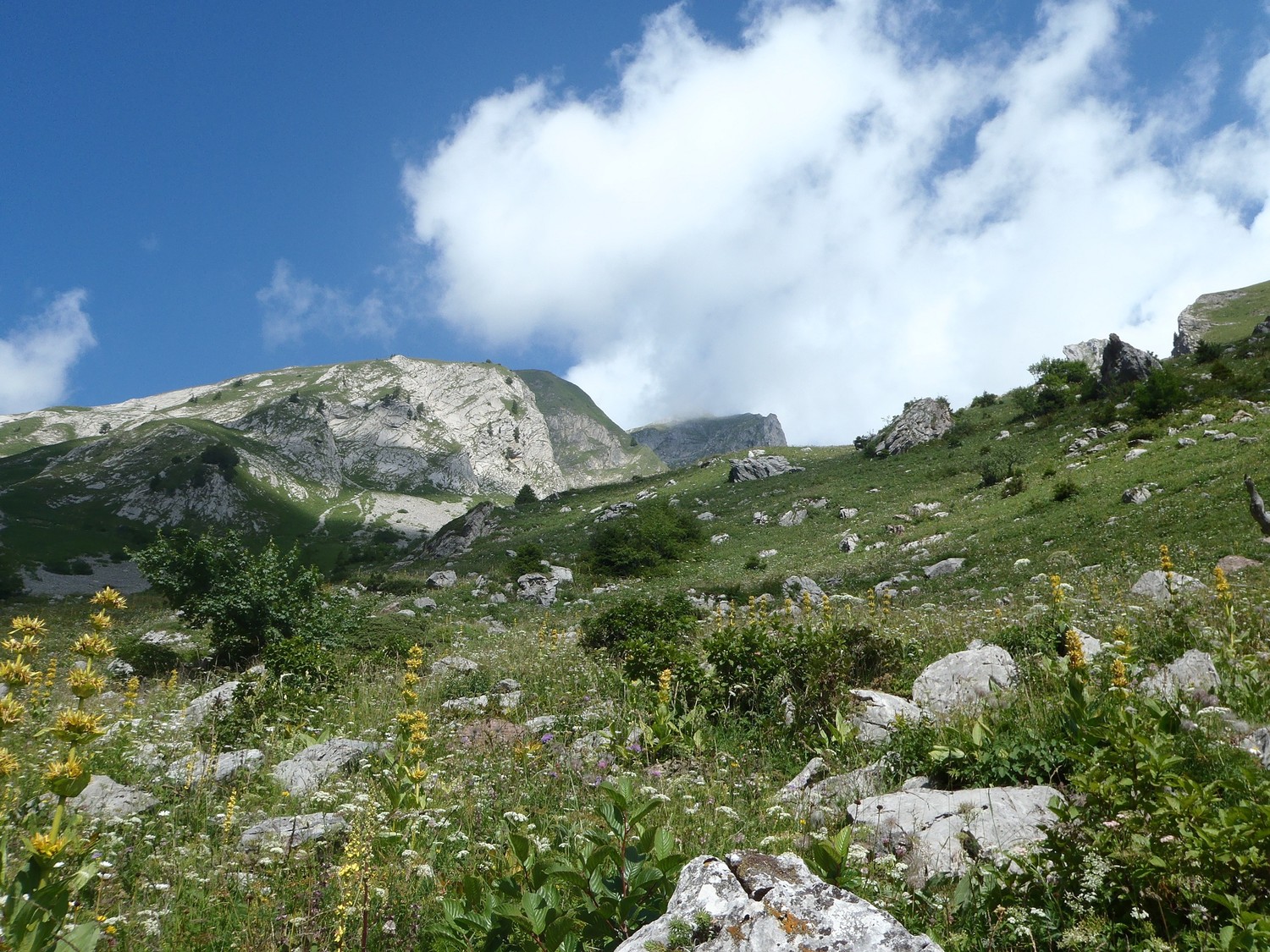 après le col de verne