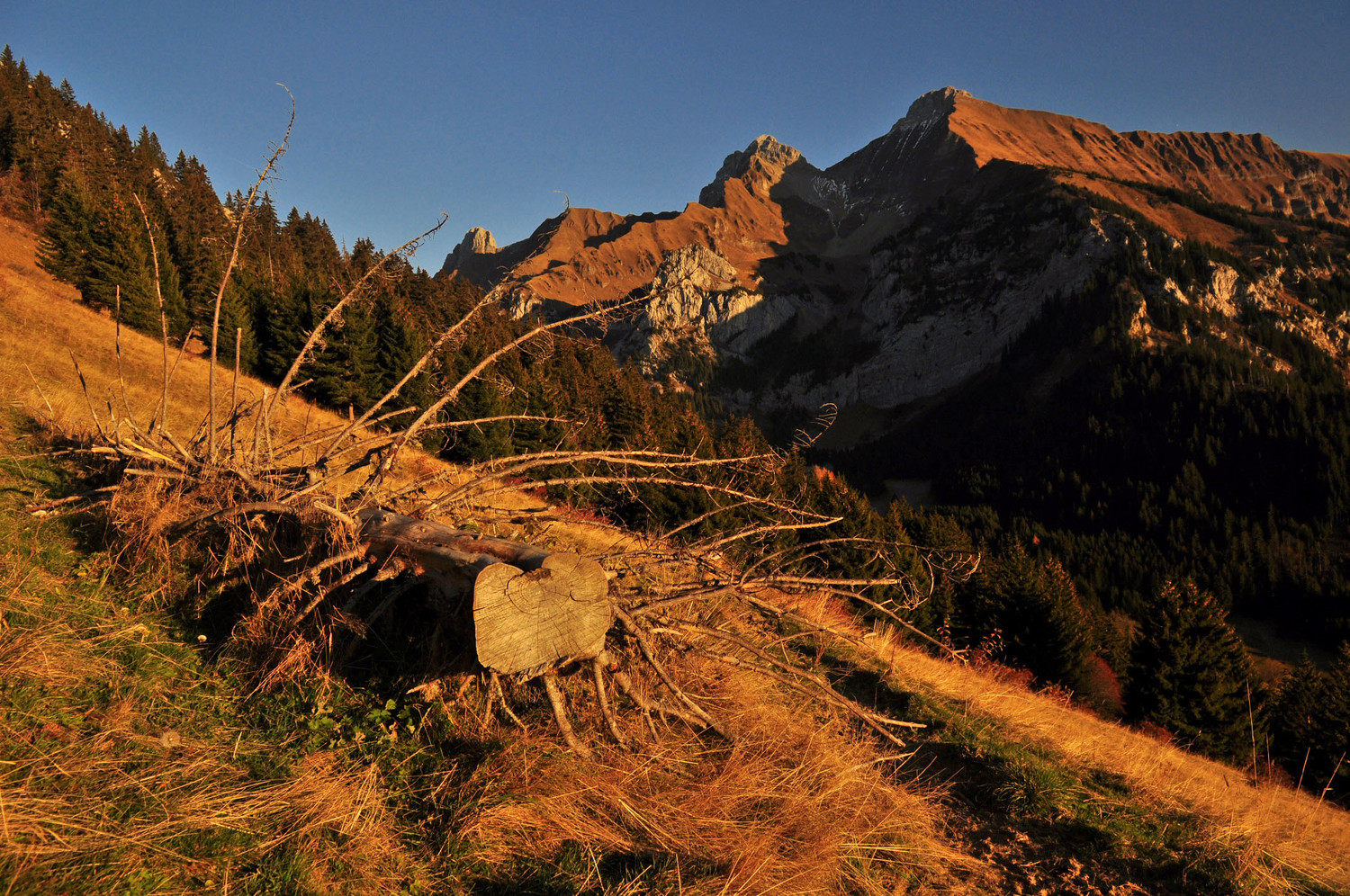 Sur le sentier de retour