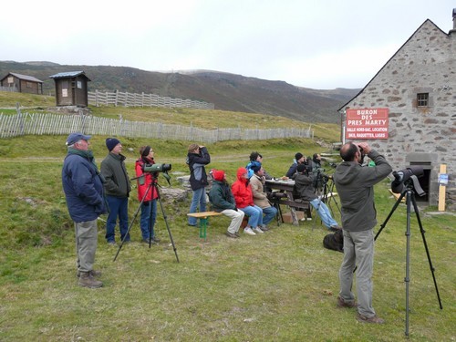 Observation des oiseaux migrateurs au Col