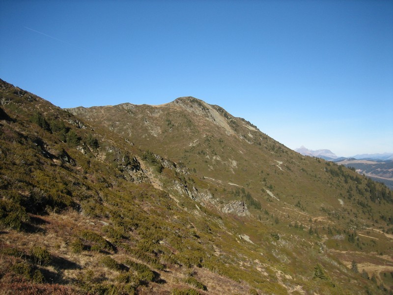 Roche Plane