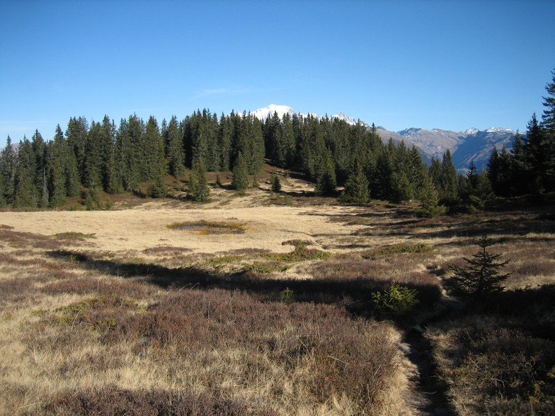 Vers le lac Couvert