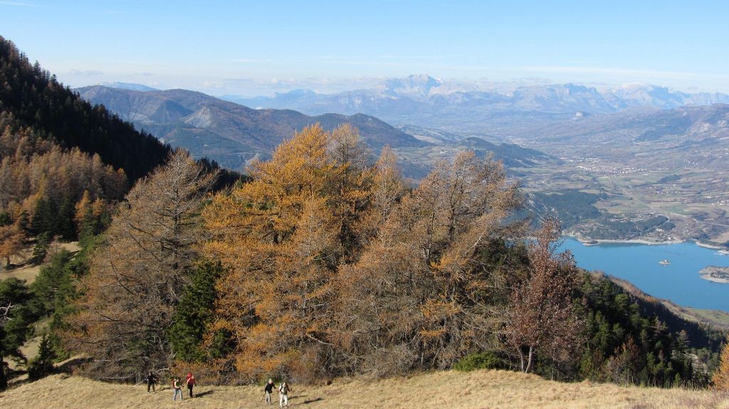 Lac et Mélézes