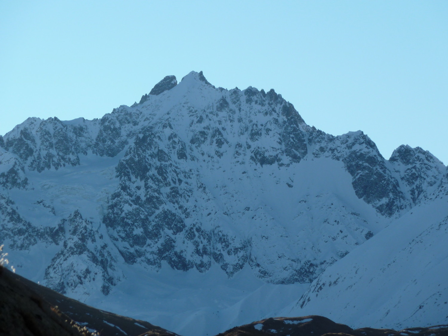 Les agneaux