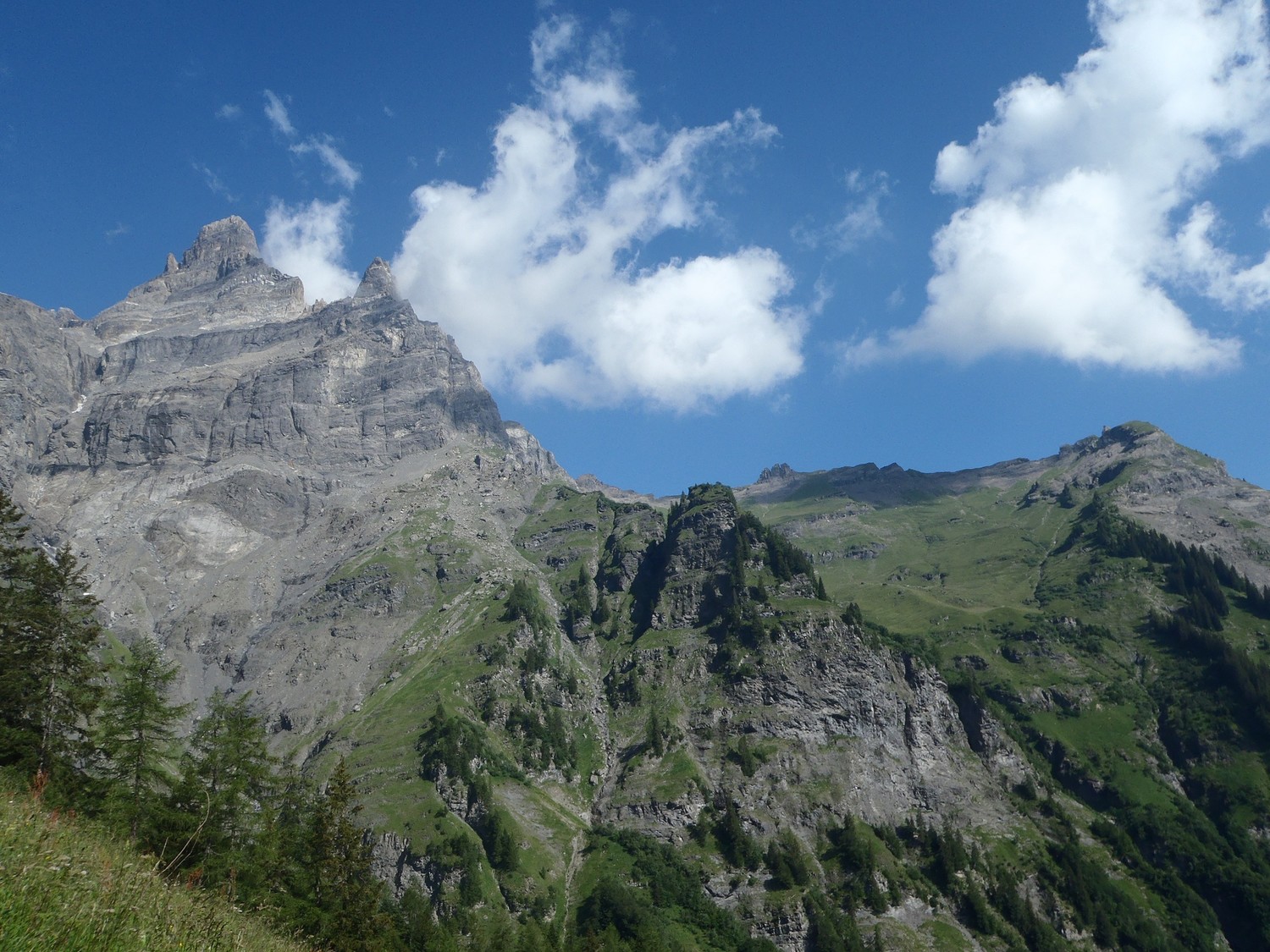 cime de l'est