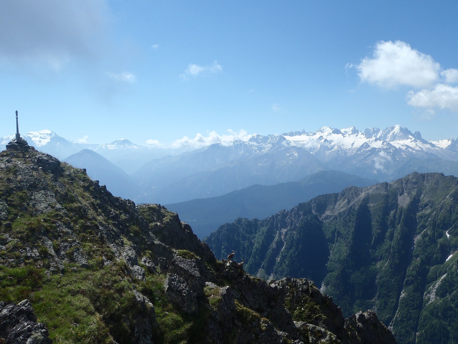 sommet de la dent de salantin