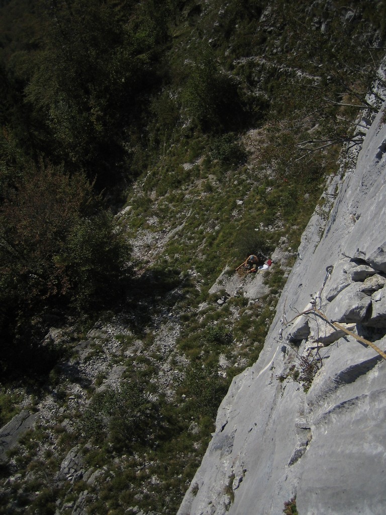 sortie de l1