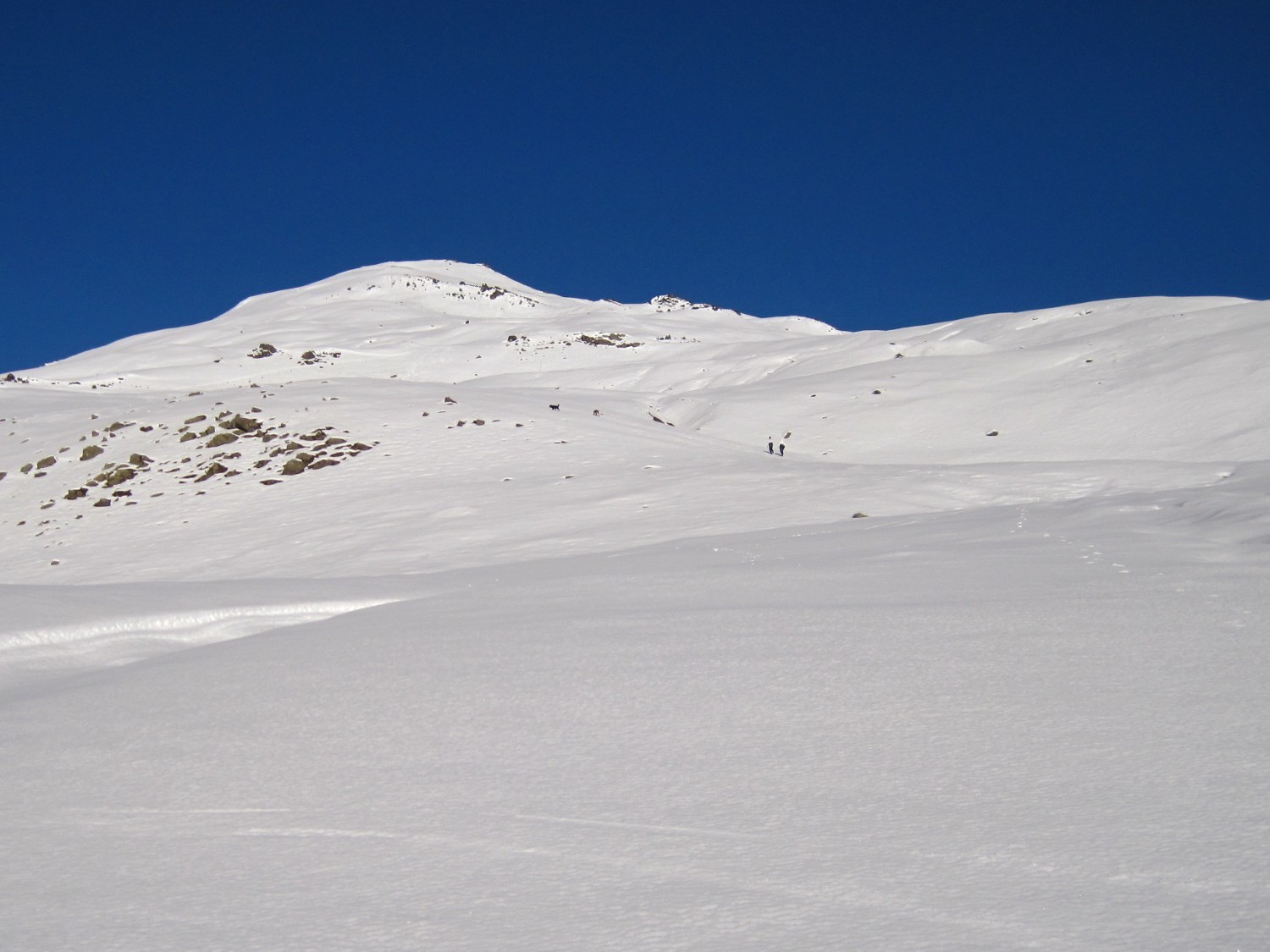 Gardiole vers 2300m
