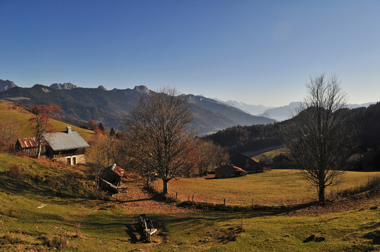 Alpage