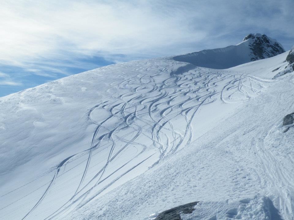 serpentine dalla cima