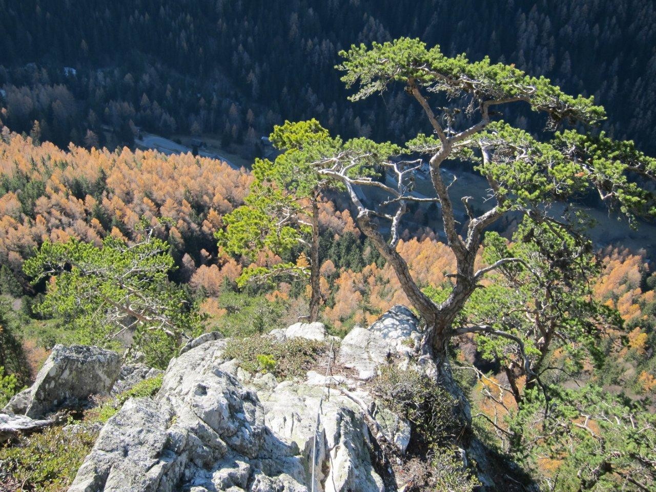 Les Calanques à nous
