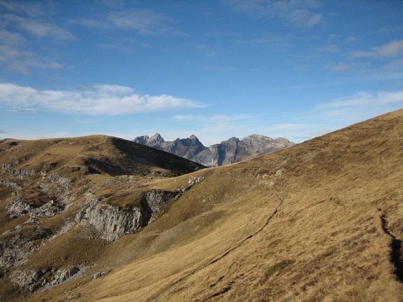 Sur les crêtes herbeuses