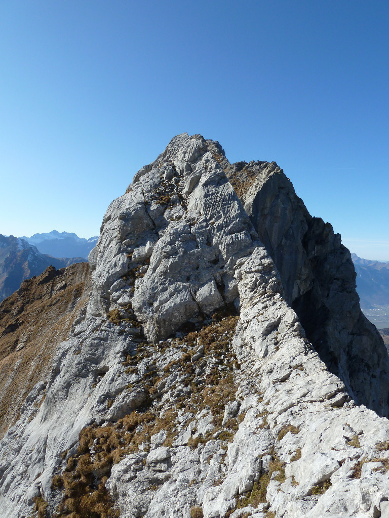 L'arêtte d'Argentine