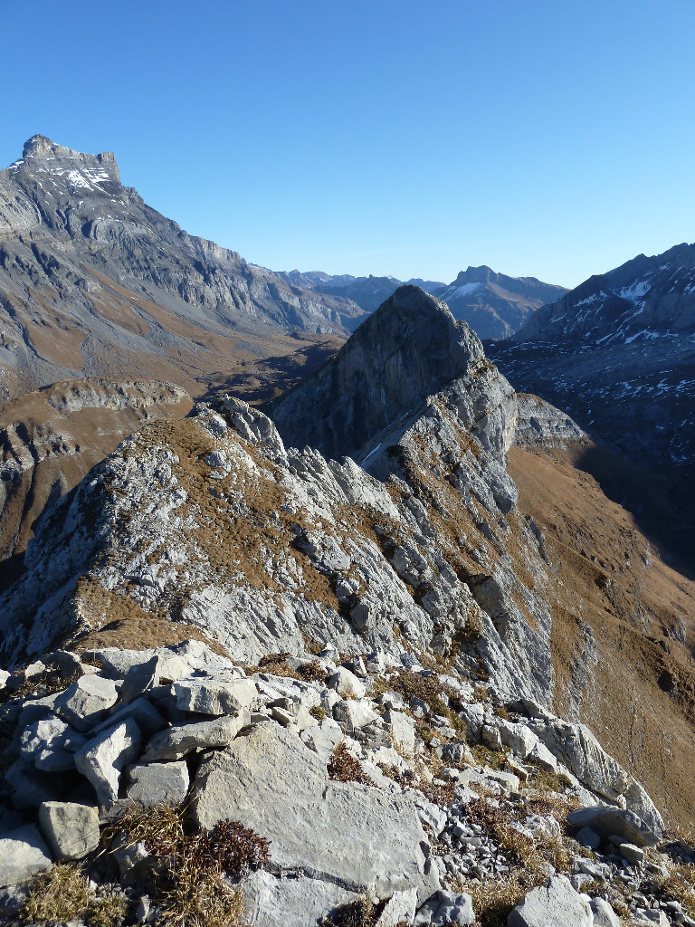 l'arête d'Argentine