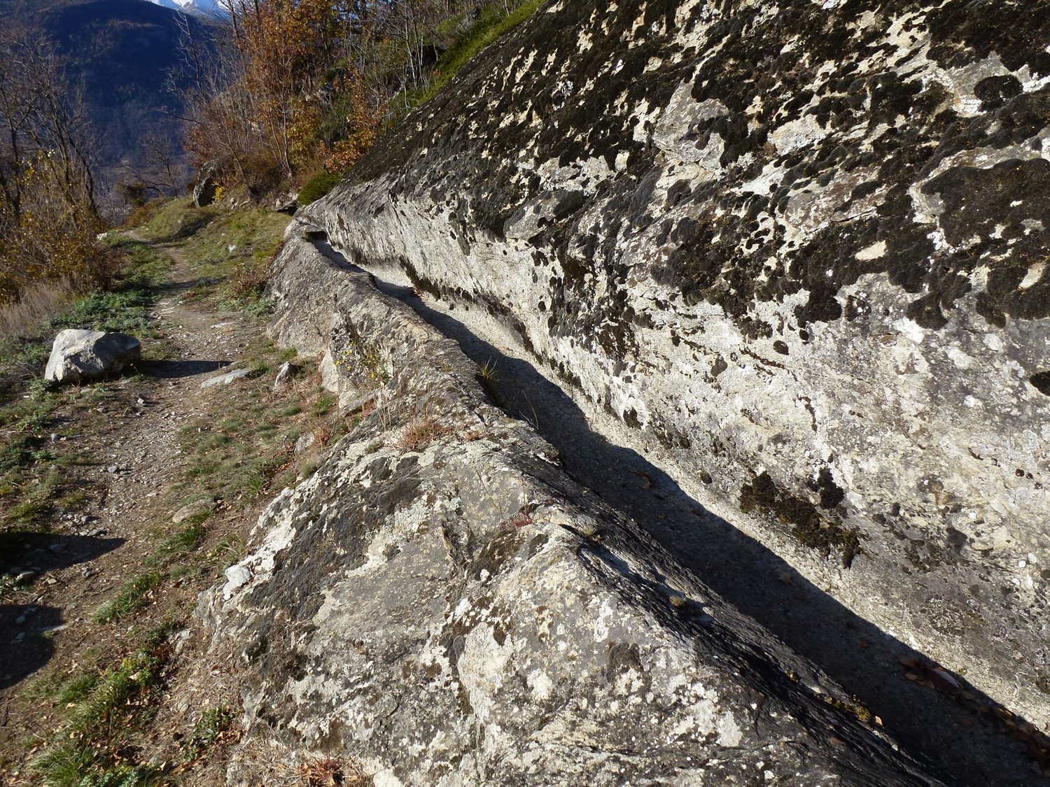 Bisse de Badmeri