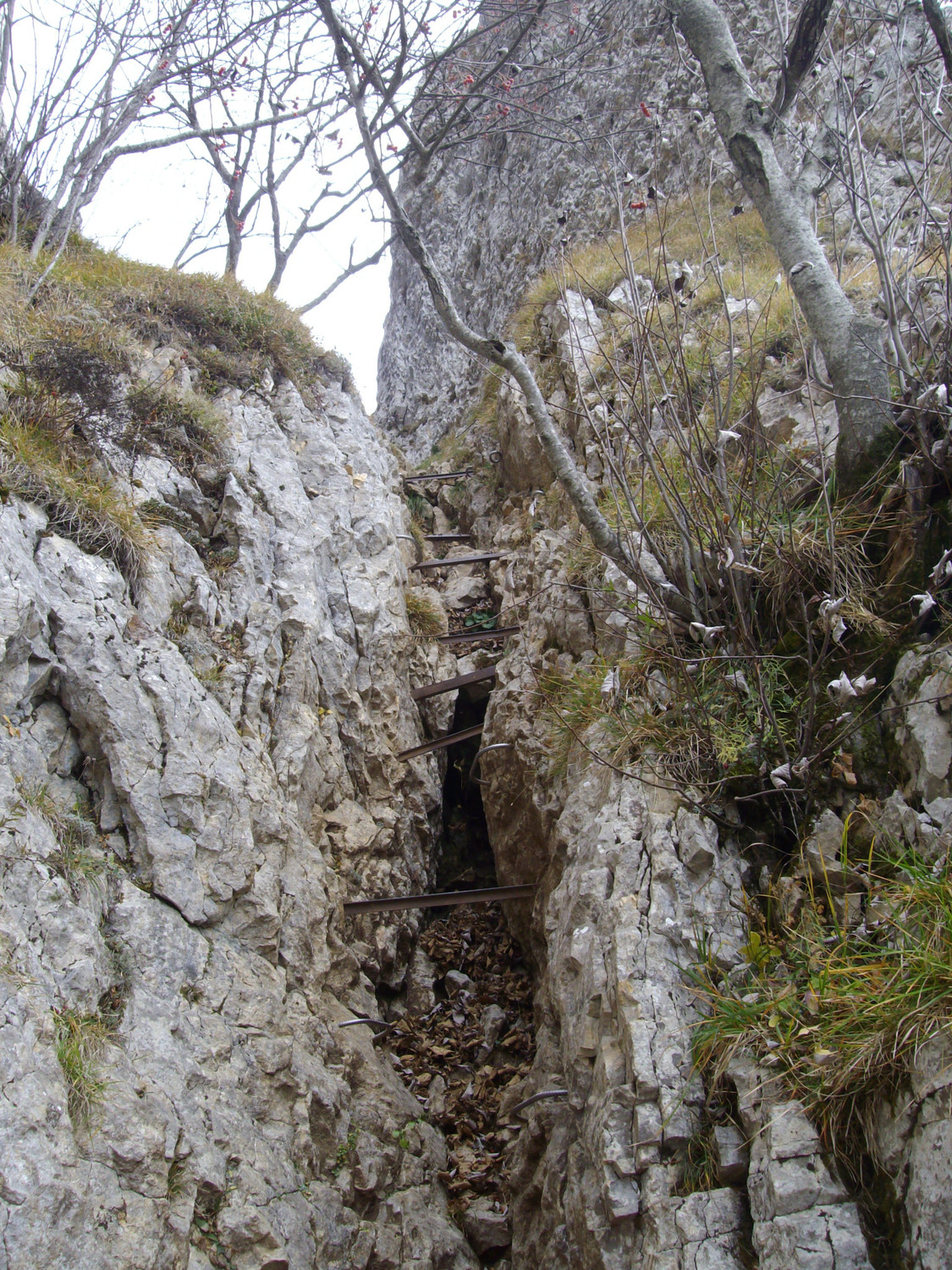 Le passage des échelles