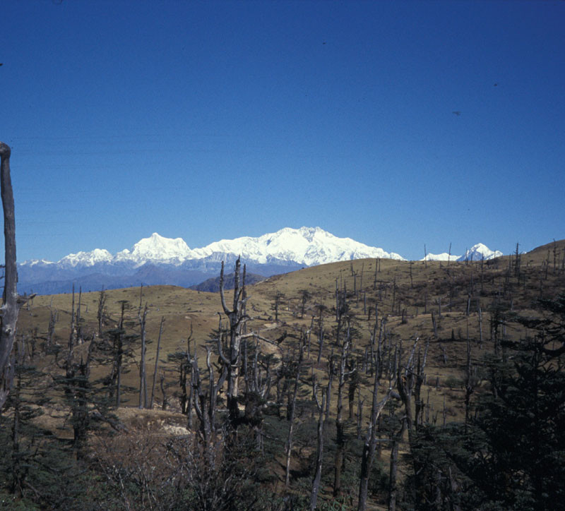 Jannu et Kanchengjunga