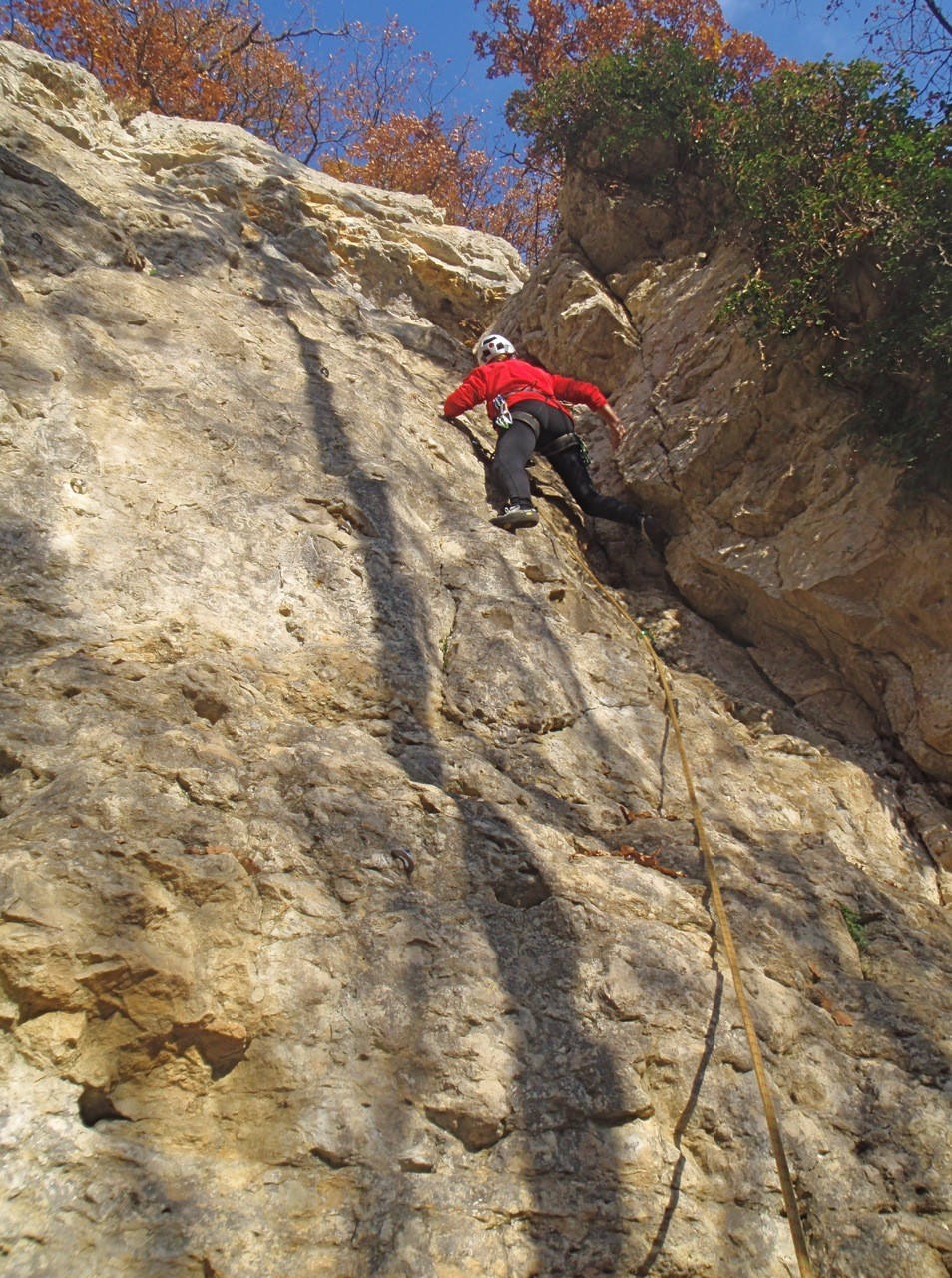 Chevrette dans le Dièdre de Pros de la montagne