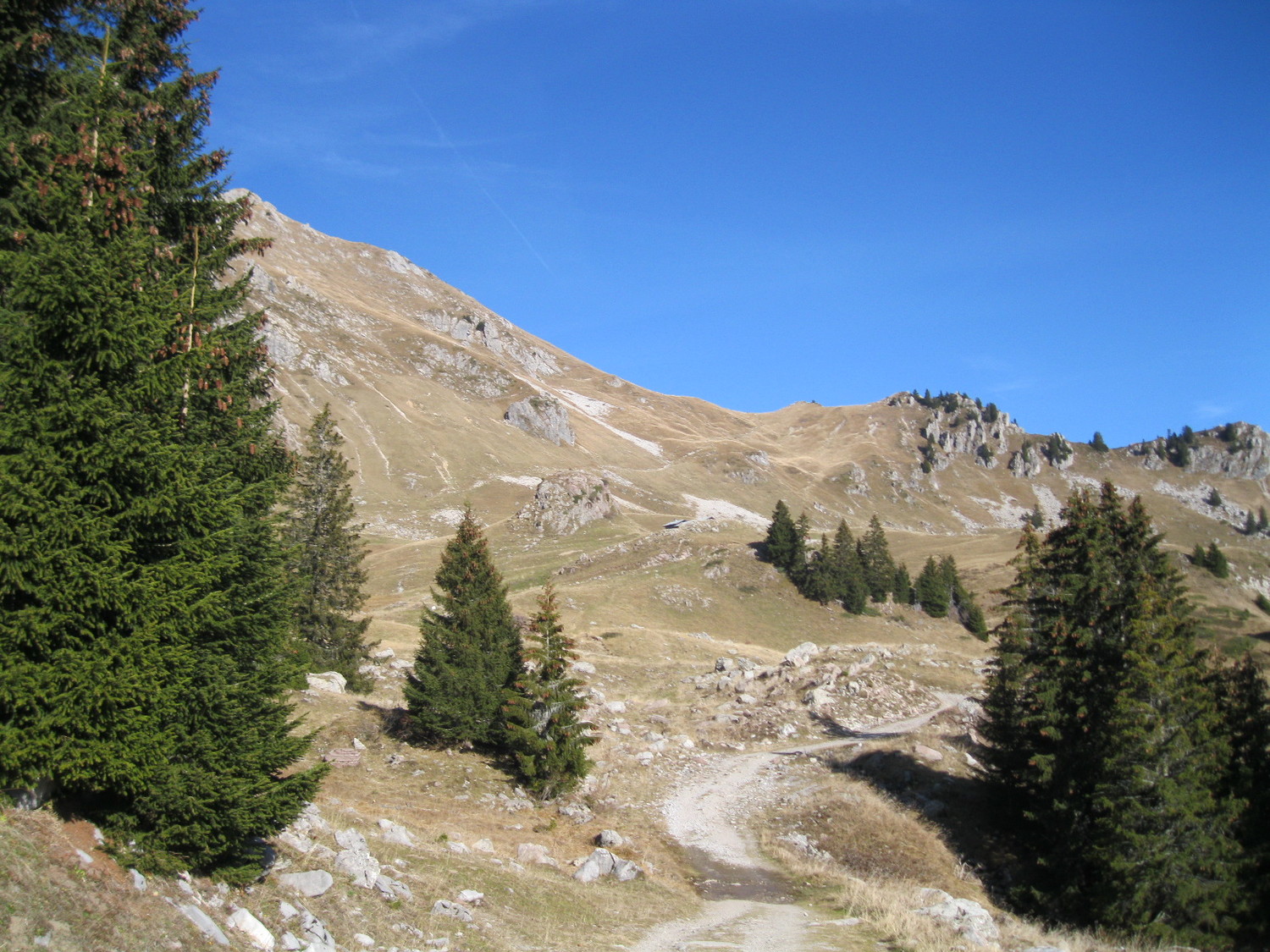Le chemin avant les chalets