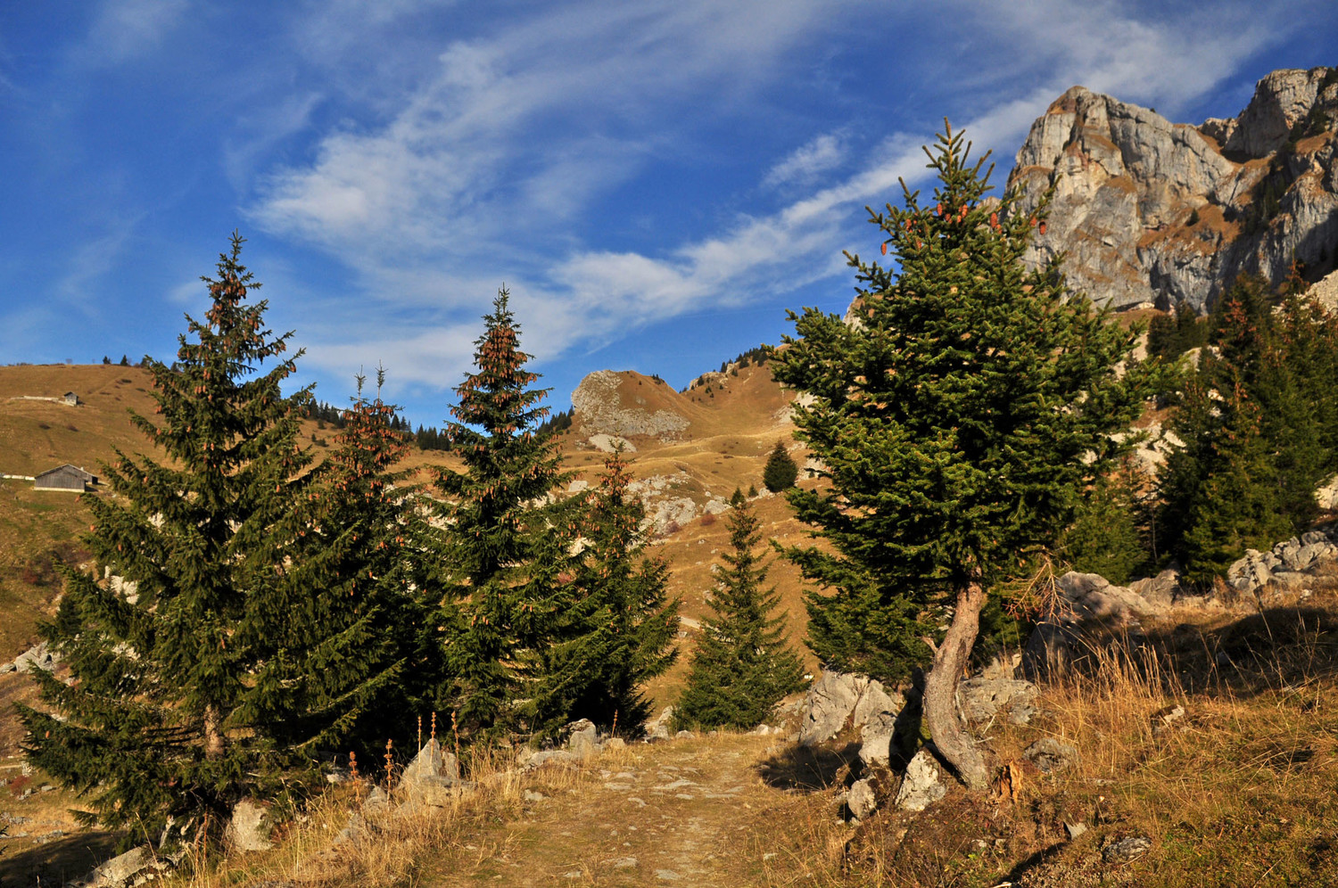 Sous le col de Cordon