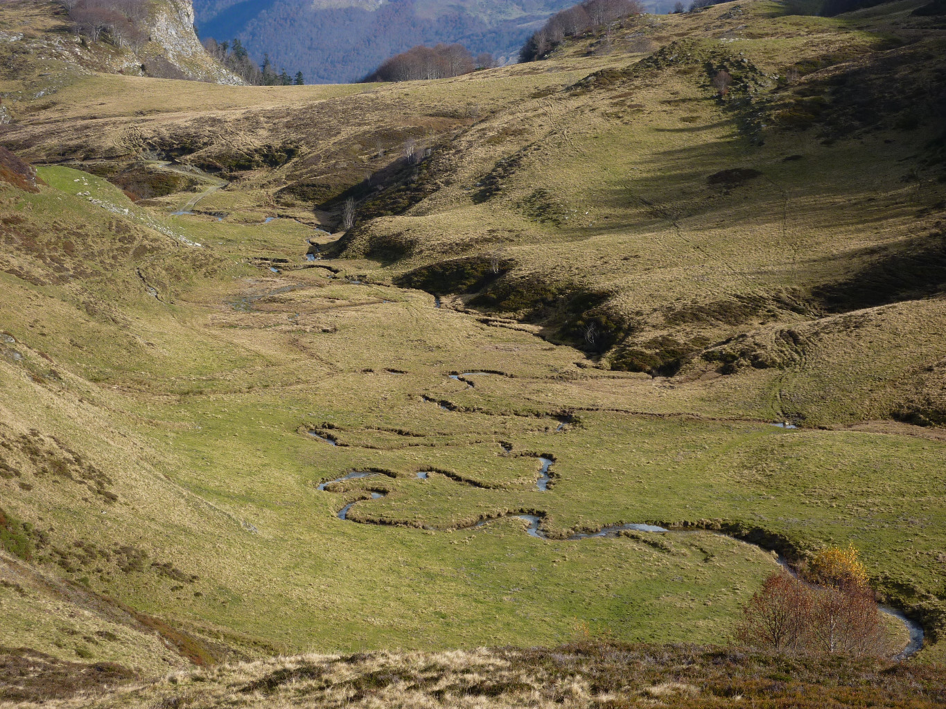 l'Arrioutort