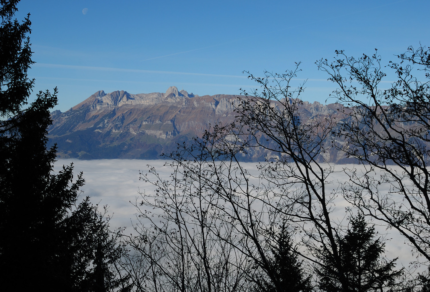 Vue sur le Vallée du Rhin