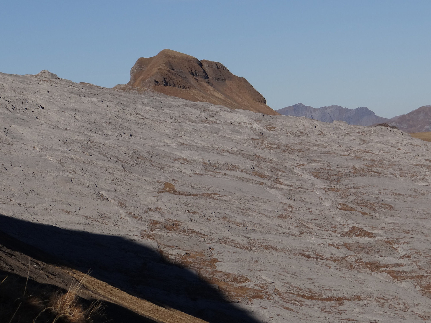 Tête Pelouse sortant du désert de Platé