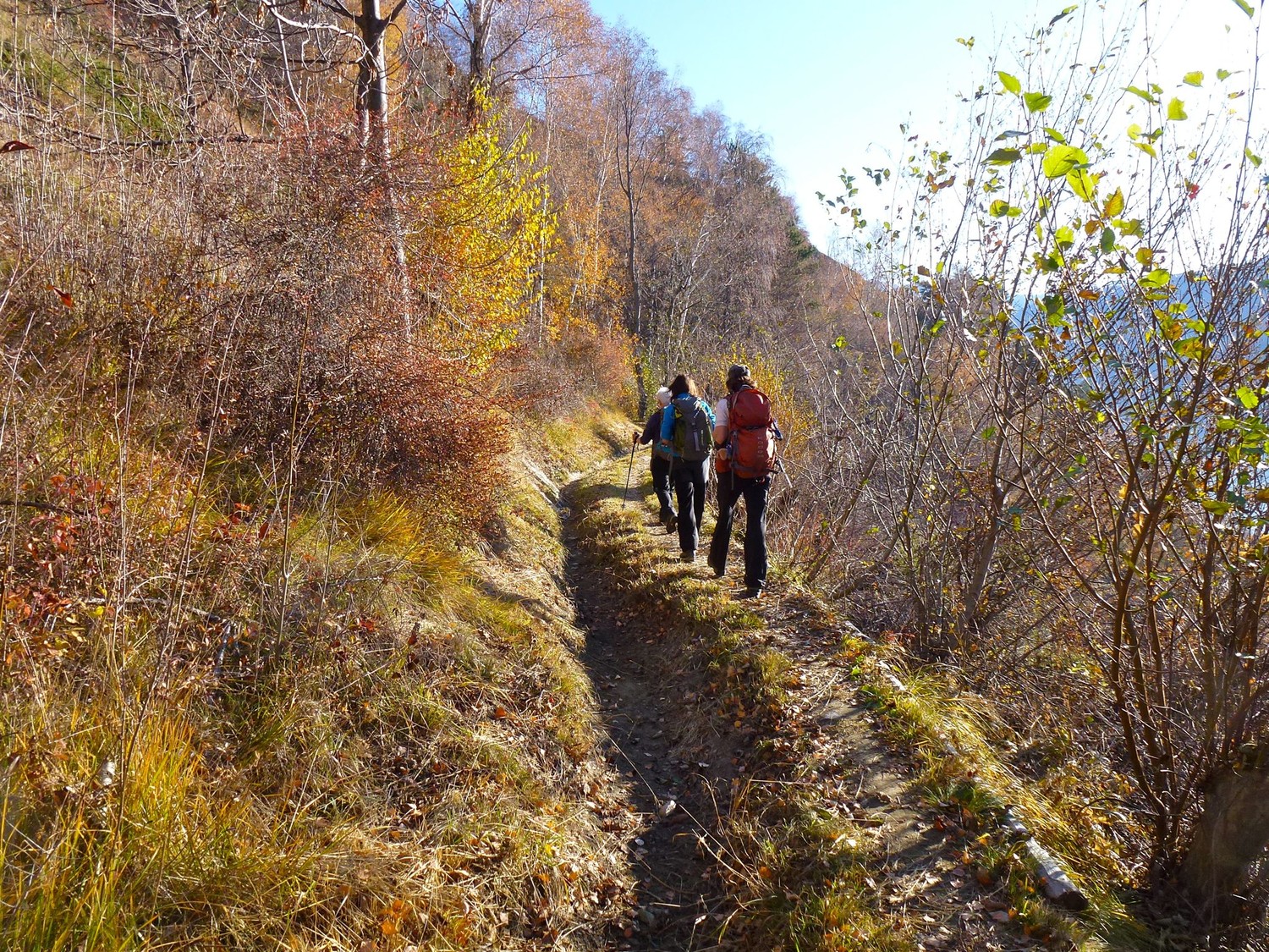 Bisse de Luogjeru