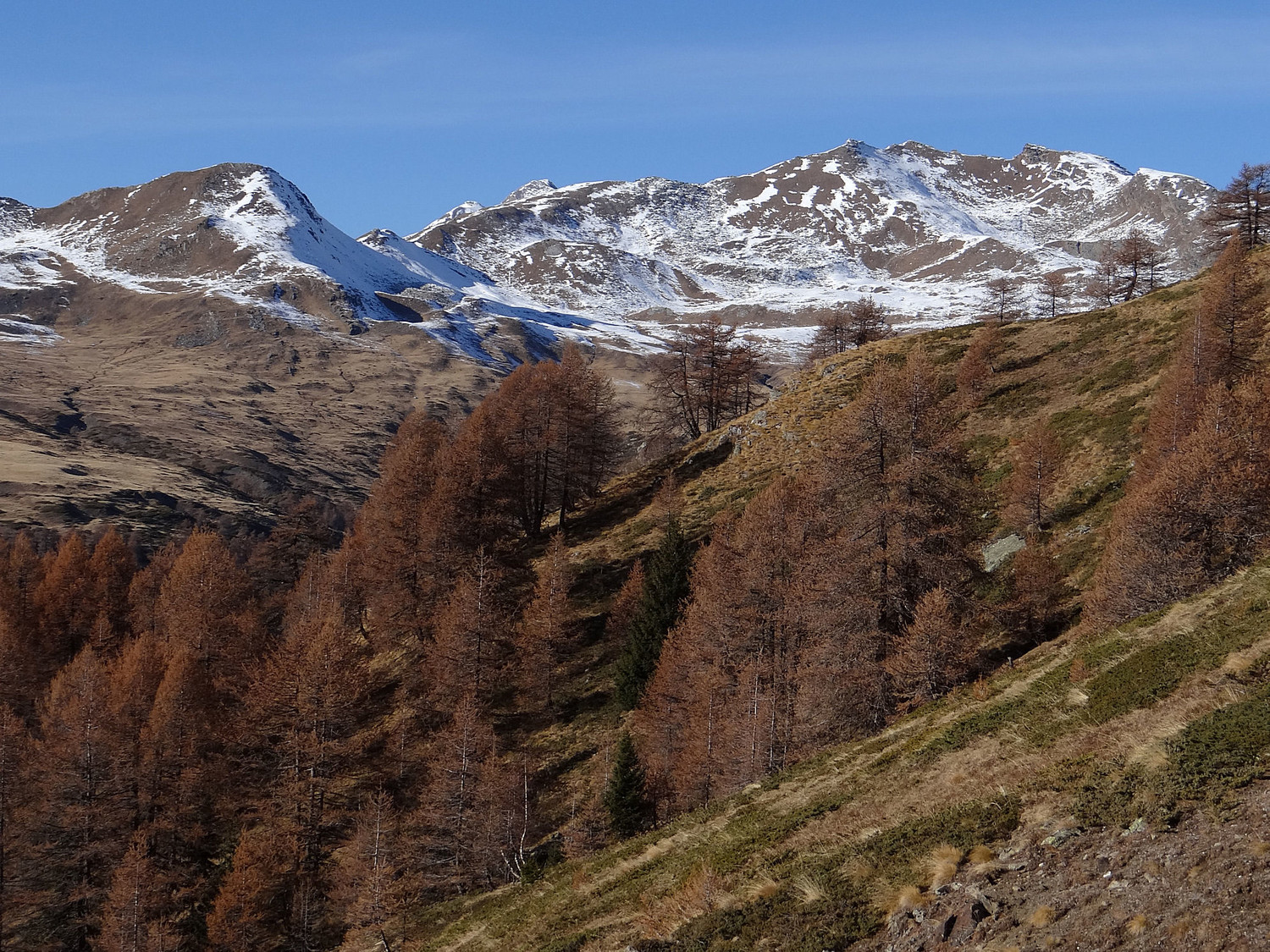 Fétita (tête et col) Tête des Fra