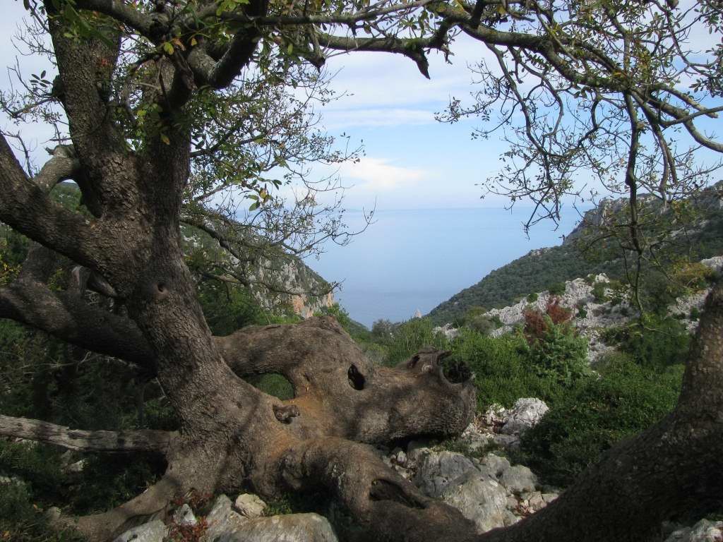 ...et "Punta Goloritzè" se devine au fond