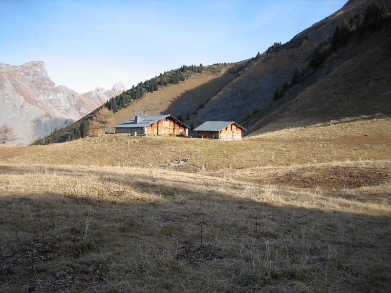 Le Leuta