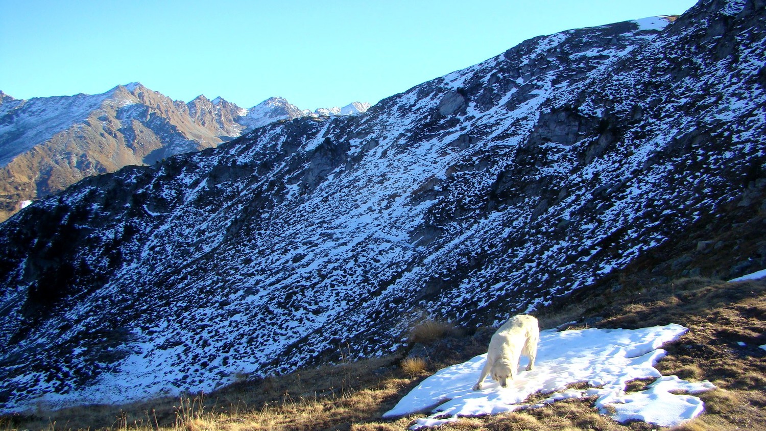 La descente sur Siviez est enneigée