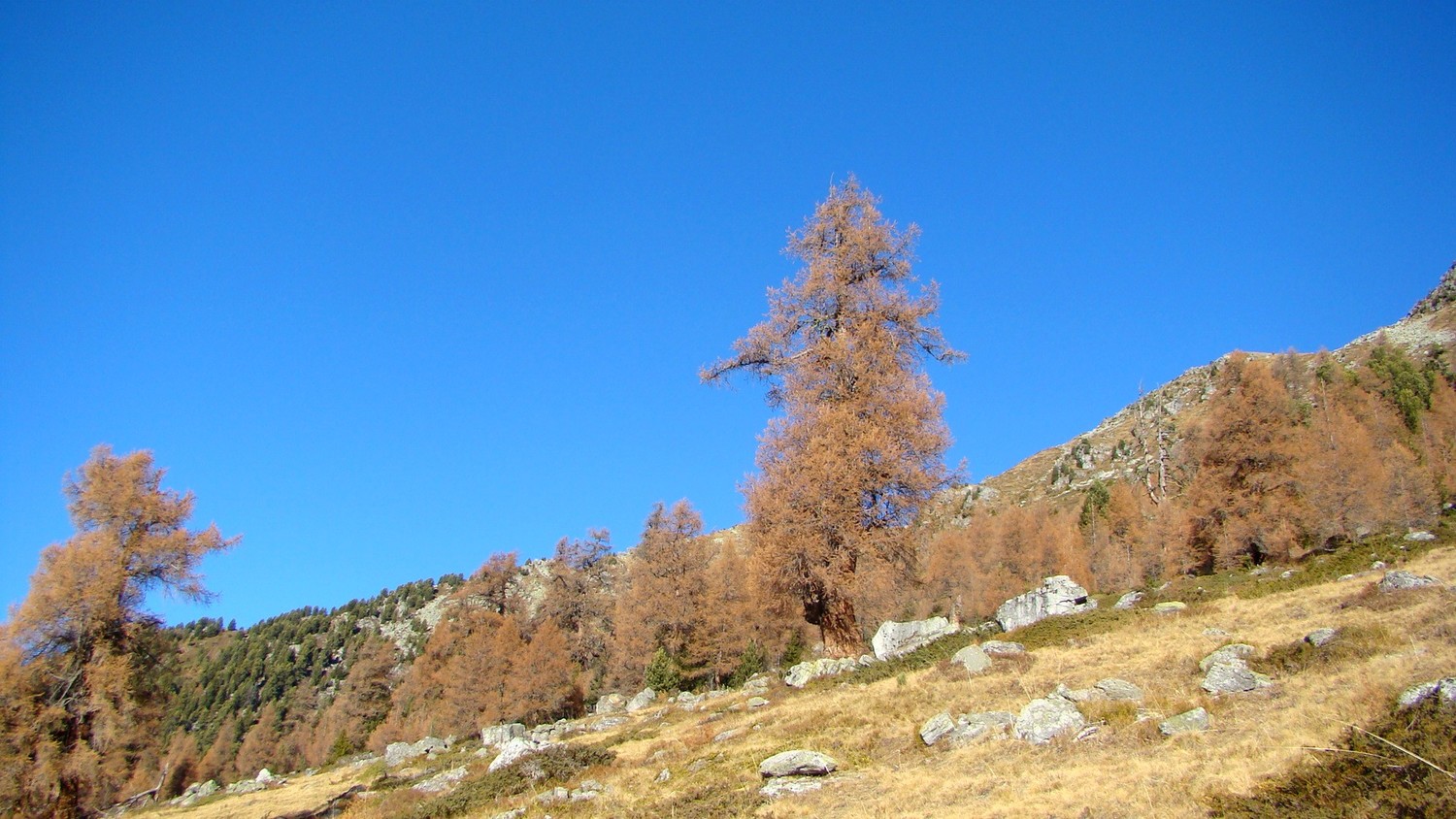 Dent de Nendaz