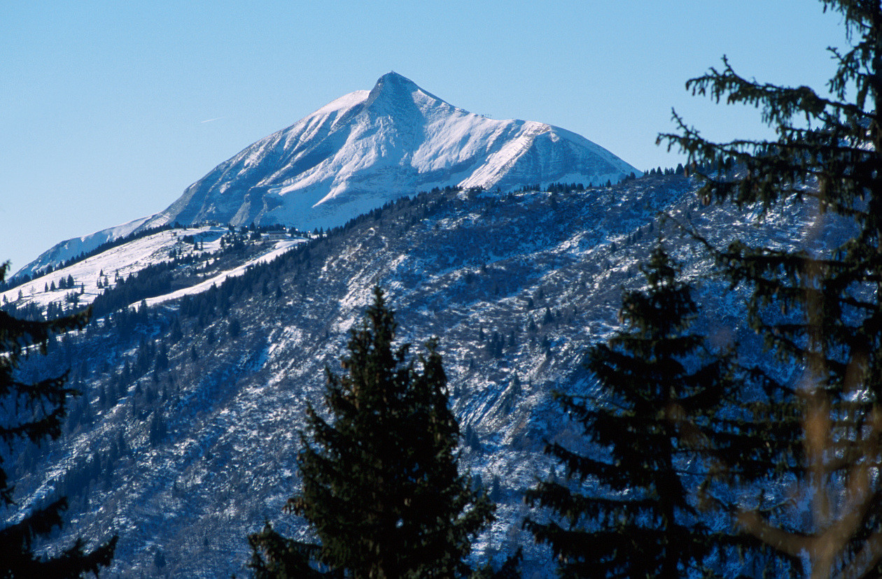Mont joly