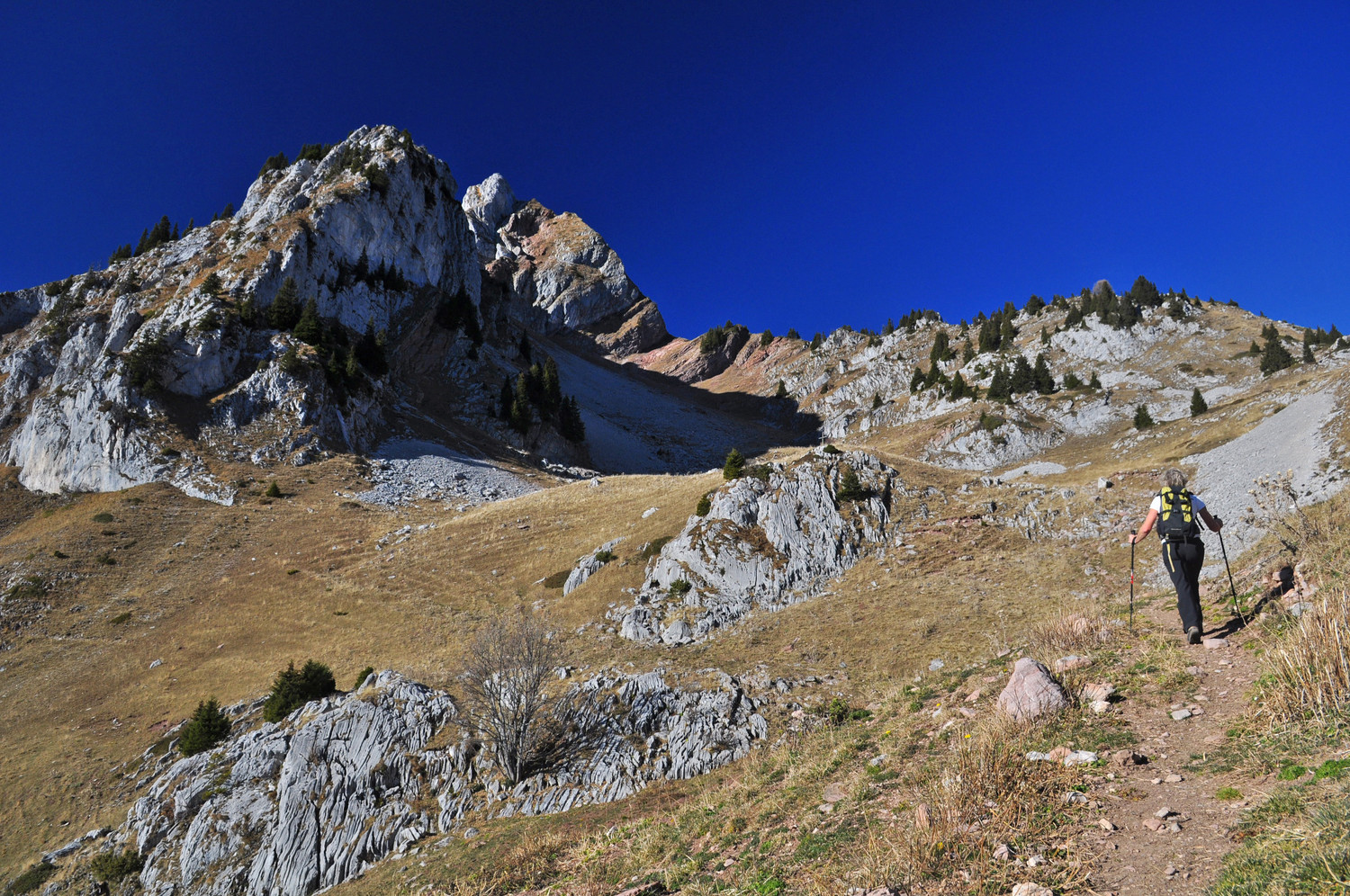Vallon des greppes
