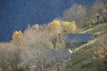 Couleurs d'automne