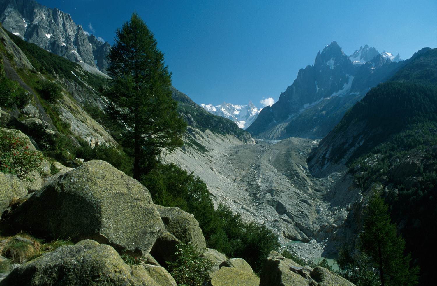 La Mer de Glace en 2001