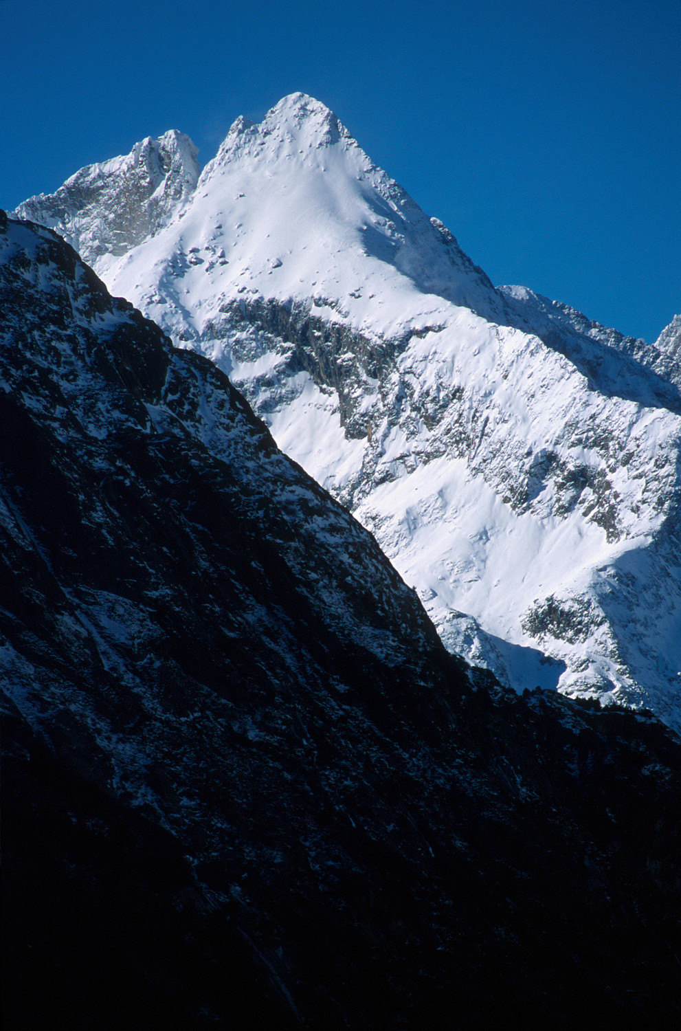 Tête de Lauranoure