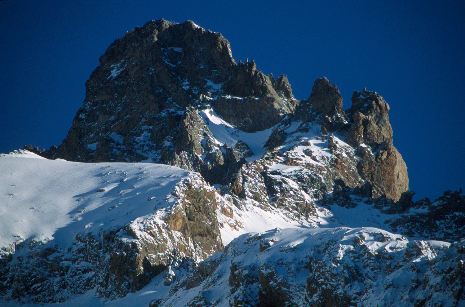 Tête de Charrière W