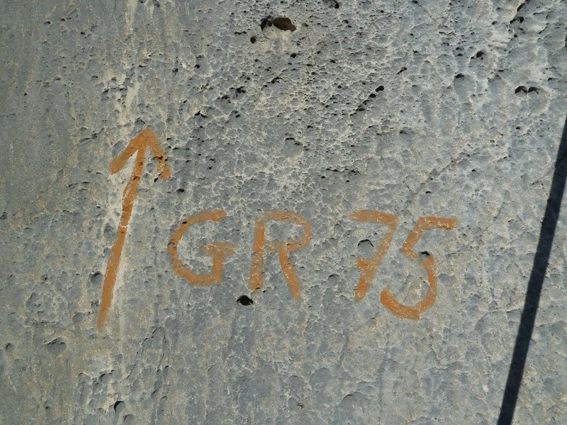 Dingomaniaque - Une inscription de L5.